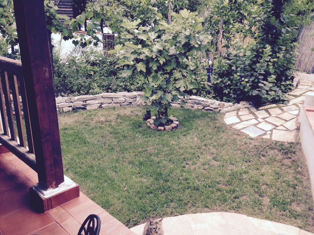 Residenza Luna Paestum Eksteriør billede